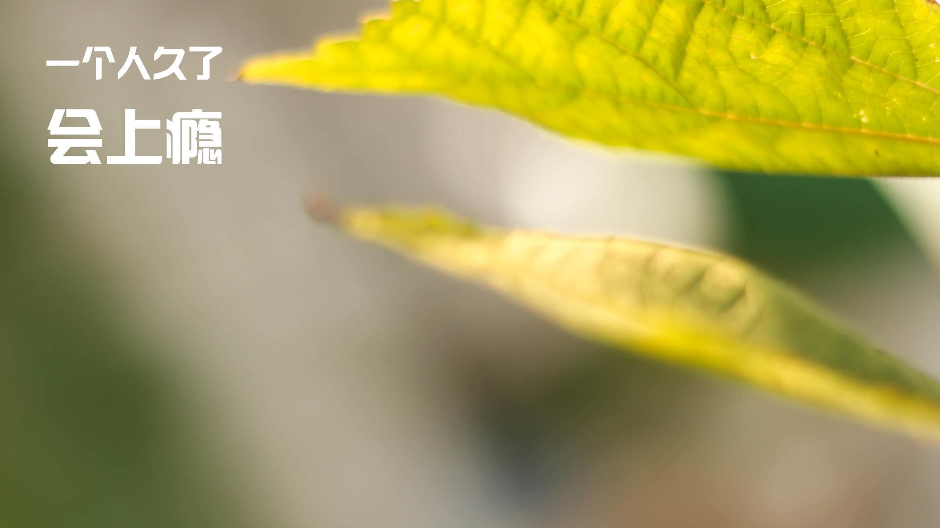 76人封锁雷霆，马克西三节打卡上演高能输出秀