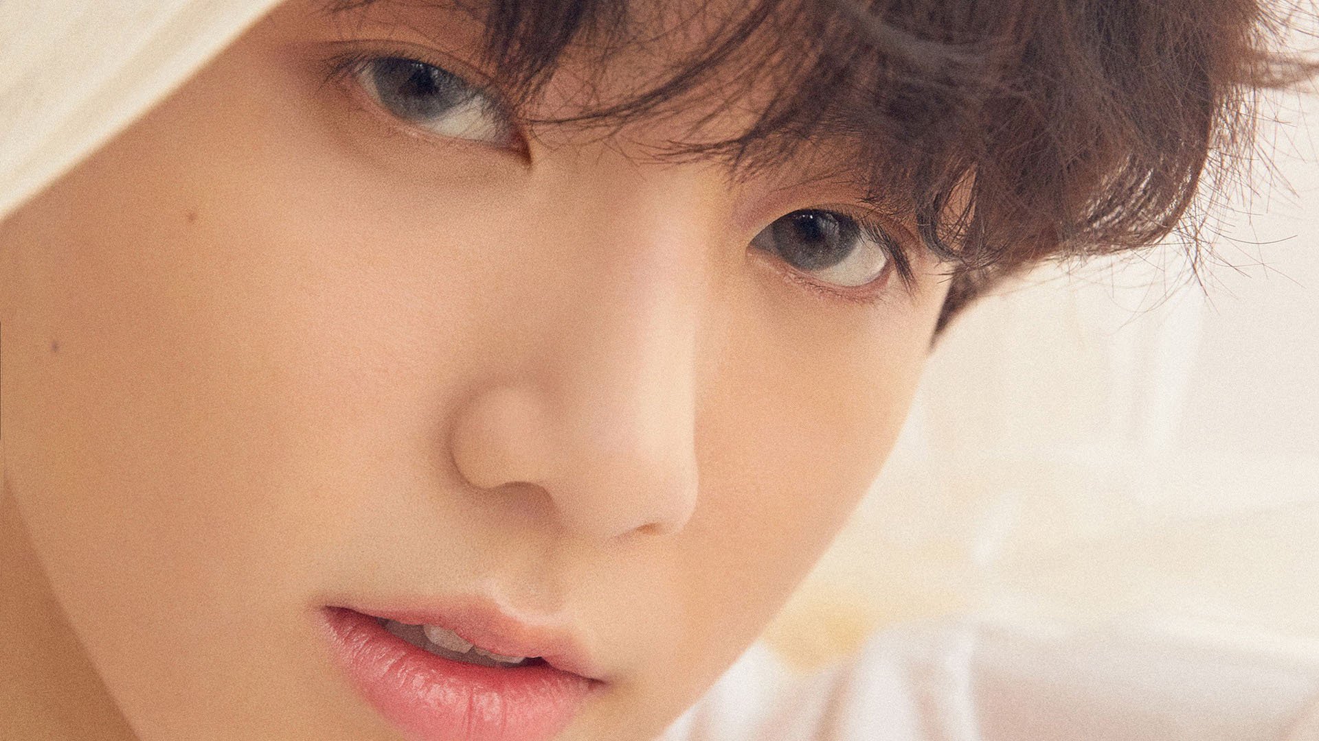 轰鸣与静默，当维斯塔潘的引擎嘶吼遇见格林数据爆炸的寂静革命