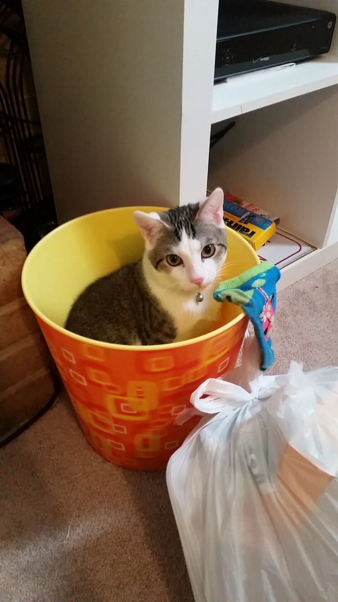 战神巴雷拉!淬火一击,哥伦比亚压哨绝杀希腊