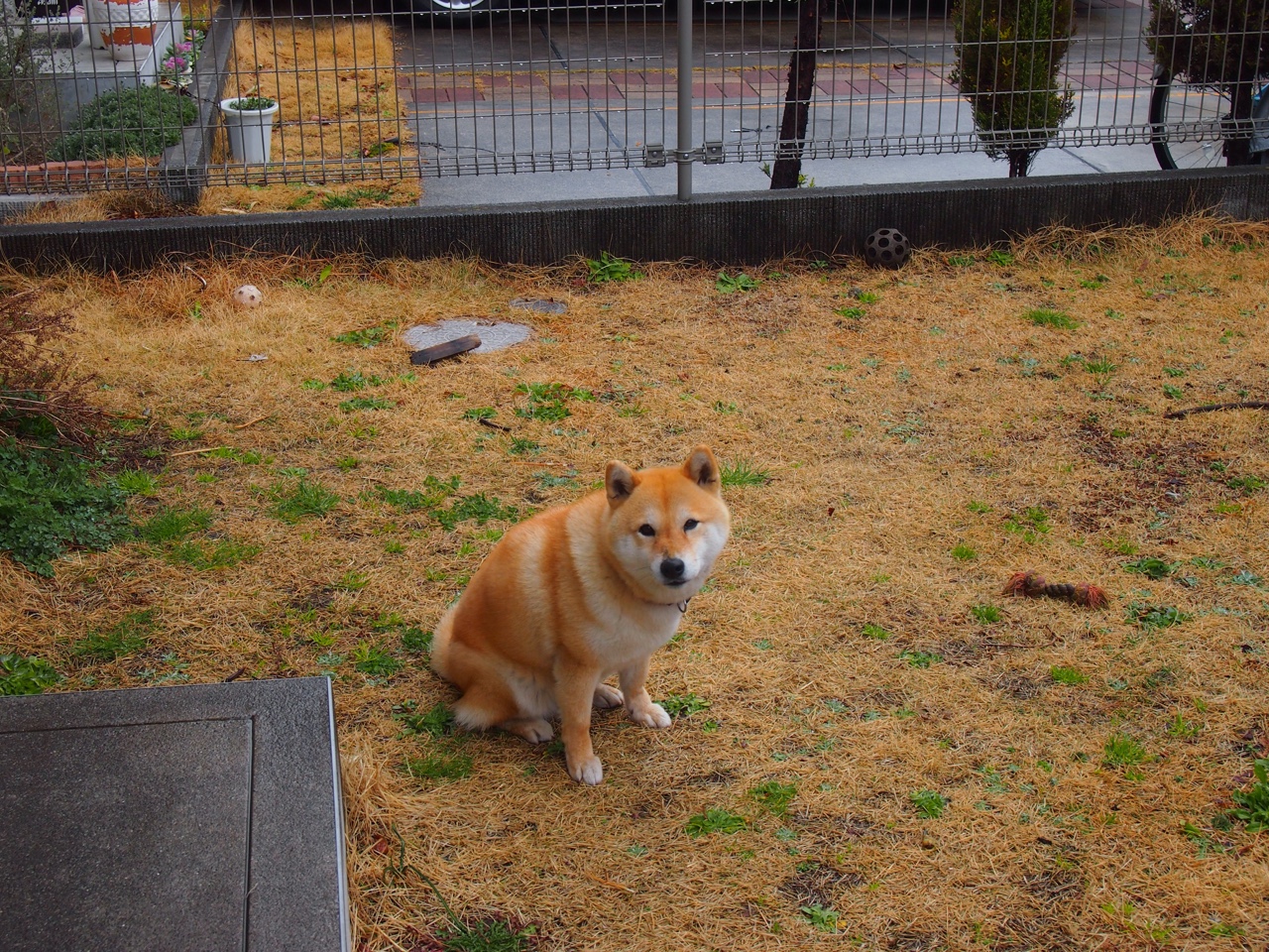 从定时炸弹到定海神针，奥纳纳一夜逆袭，铸就土耳其钢铁防线