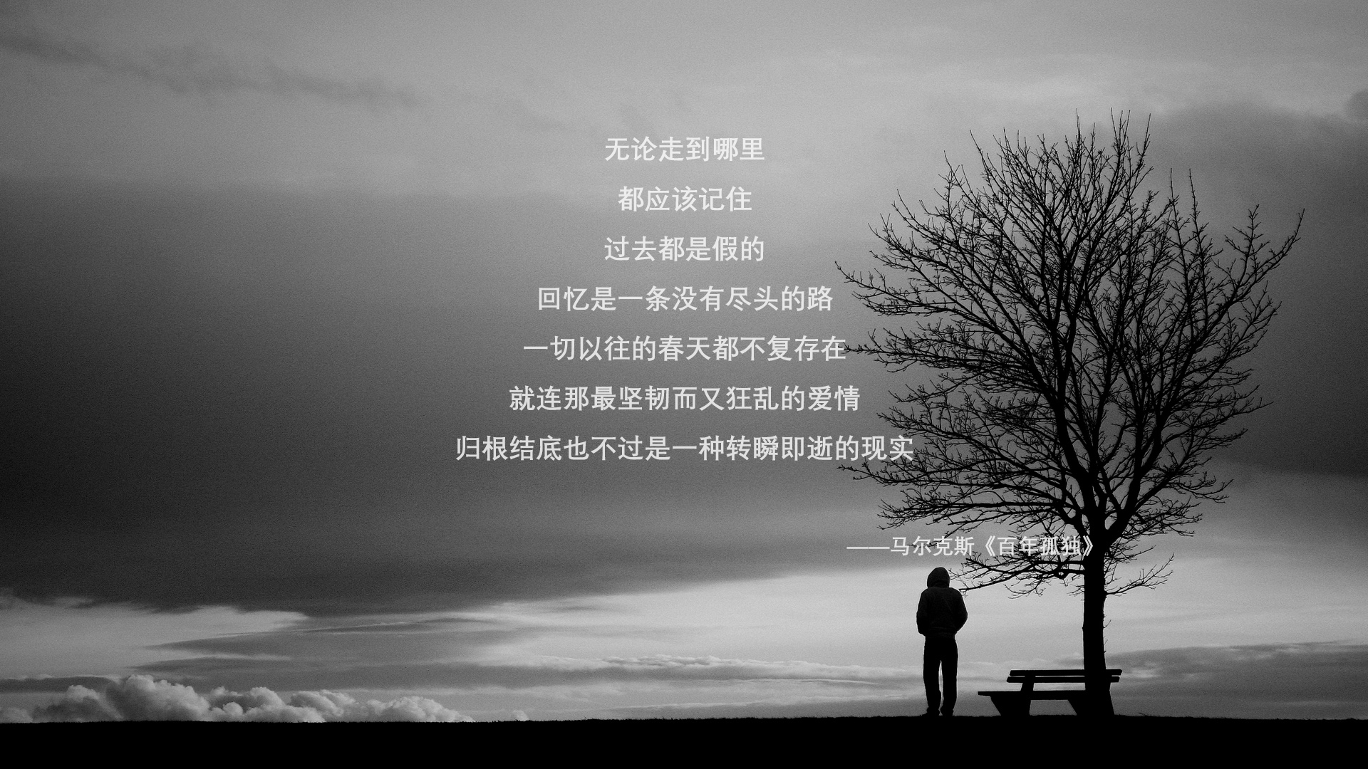 永不沉没,从潘帕斯雄鹰到蓝黑军团,德甲争冠战的终极启示