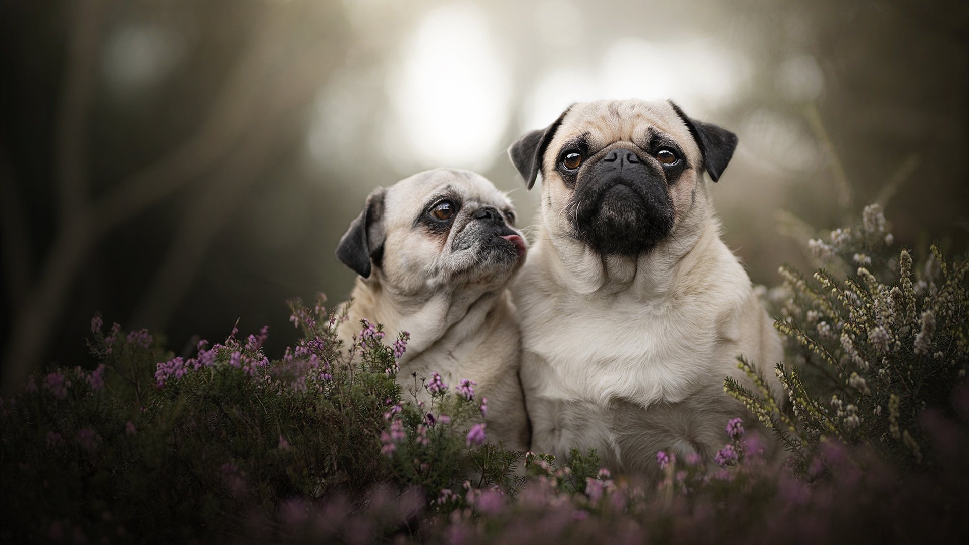 开云体育-铁骑踏碎彩虹梦，奥运关键战中土耳其对南非的碾压启示录
