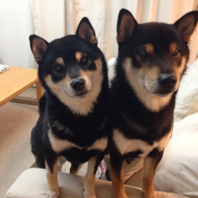 开云体育app-夜之竞速，F1街道赛与拉什福德得分狂潮的交响曲