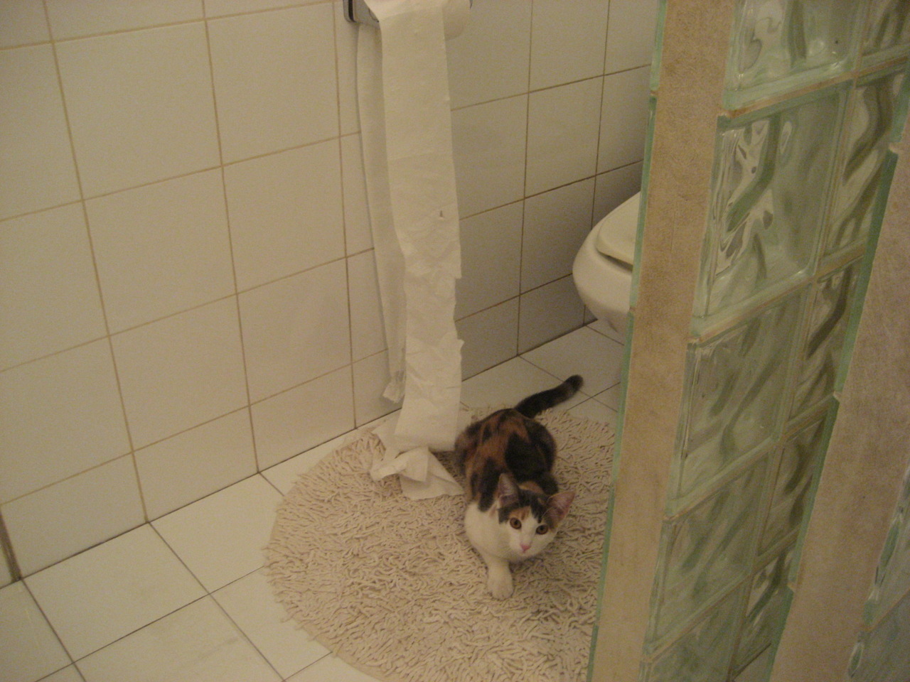 利刃出鞘的十分钟，范弗利特如何用一己之力绞断篮网的防线