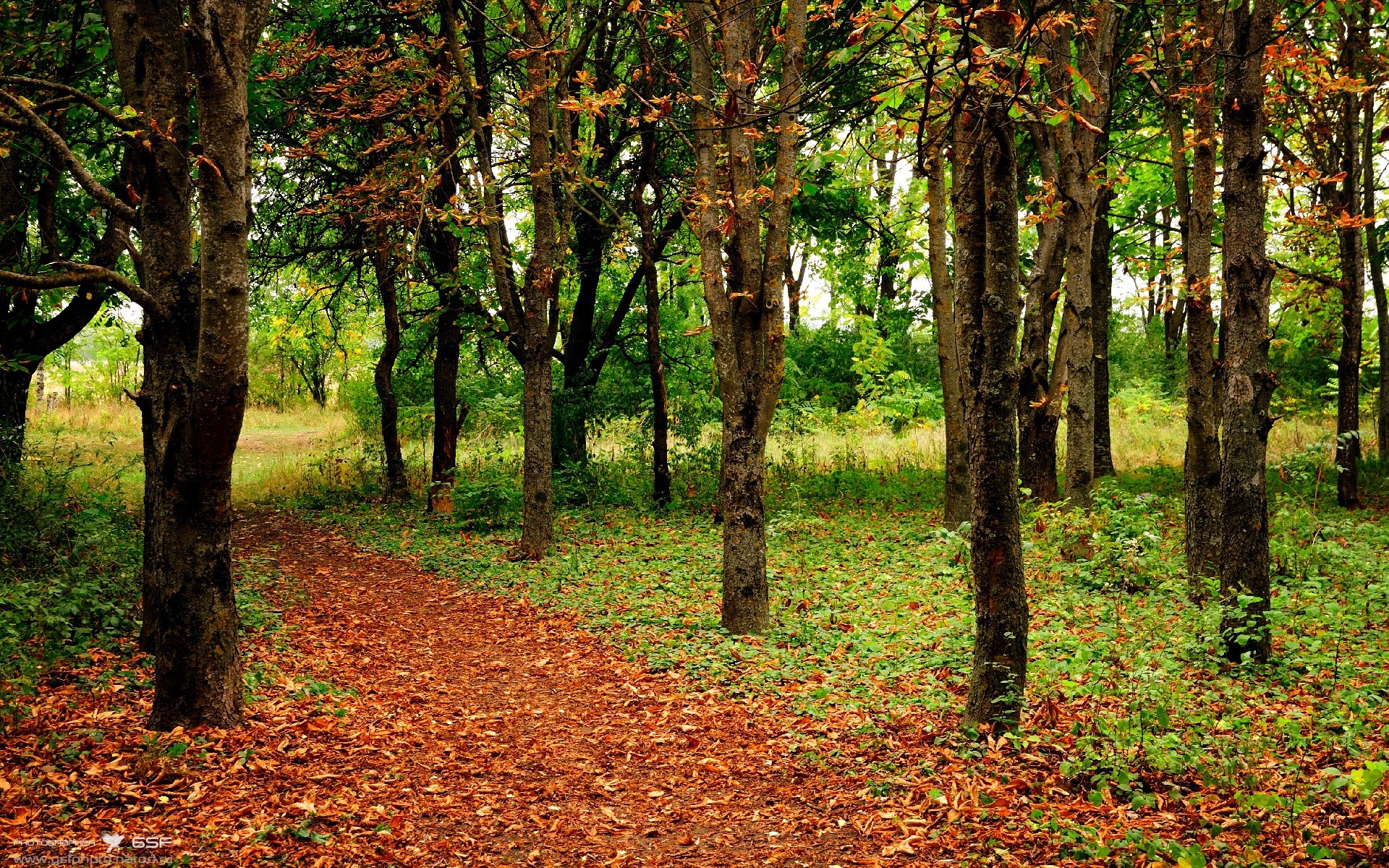 开云官网-莫兰特狂轰47+8+9！季后赛之夜诠释未来超巨统治力