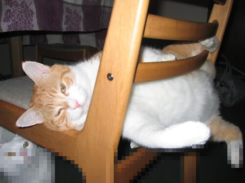 季后赛抢七焦点战,北京队强势晋级,吉林队憾负出局