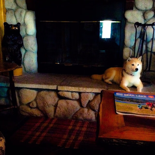 从闪电战到定音锤,卡塞米罗末节封神,加纳演绎速胜艺术