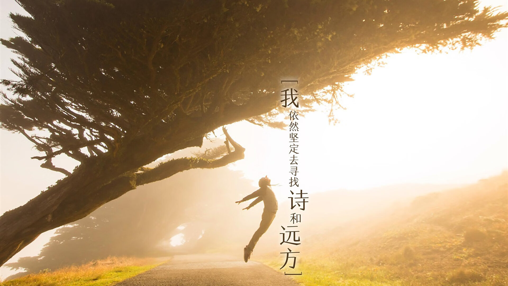 开云体育登录-篮球无疆界，从盐湖城到马德里，巨星接管与团队胜利的全球协奏曲