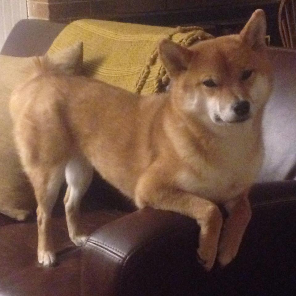 曼联式重压，当英超铁幕笼罩克罗地亚，凯恩正加冕硬仗之王